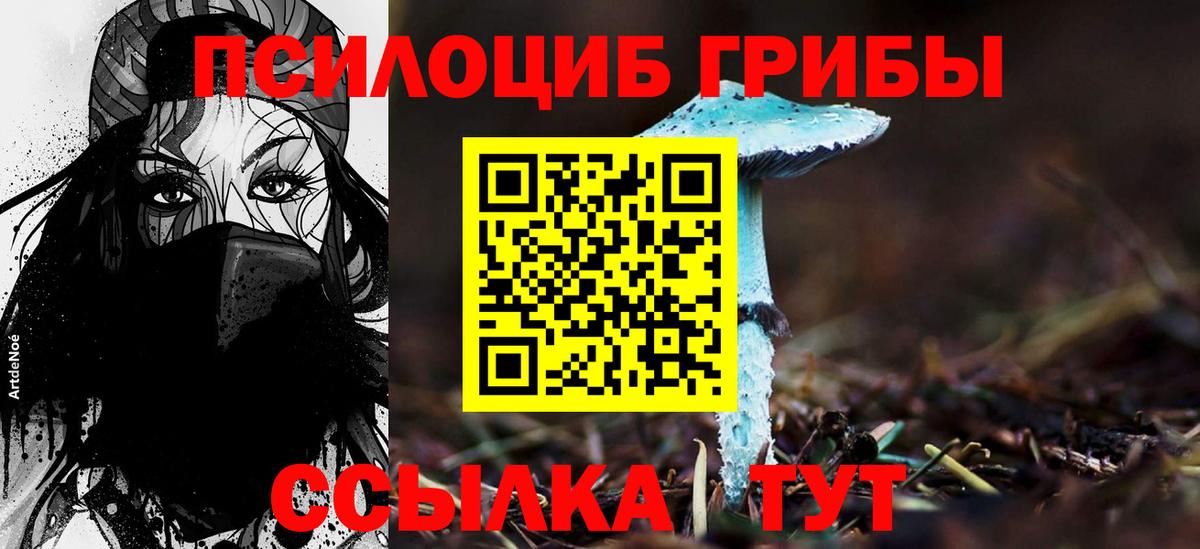 Галлюциногенные грибы прущие грибы Кузнецк